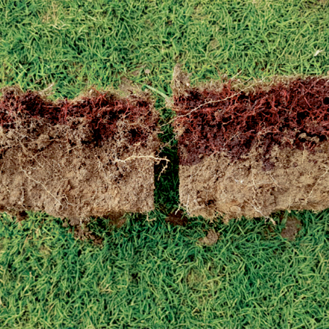 TourTurf® EPT Respond® Extreme Penetrator Wetting Agent